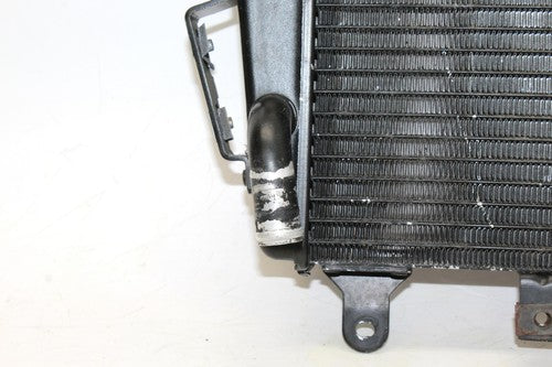 2009 Triumph Tiger Engine Radiator Motor Cooler Cooling Radiater