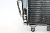 2009 Triumph Tiger Engine Radiator Motor Cooler Cooling Radiater