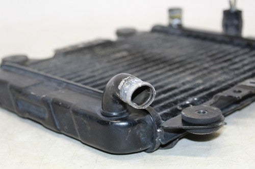 1989 Kawasaki Ninja 250r Ex250f Engine Radiator Motor Cooler Cooling Radiater