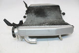 2002 Kawasaki Ninja Zx6r Zx600j Engine Radiator Motor Cooler Cooling Radiator