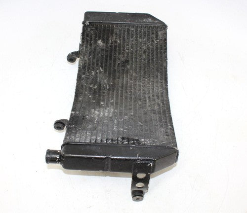 1995 Honda Cbr600f3 Engine Radiator Motor Cooler Cooling Radiater
