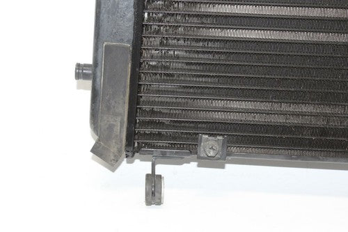 2003-2005 Yamaha Fjr1300 Engine Radiator MOTOR Cooler Cooling Radiater OEM