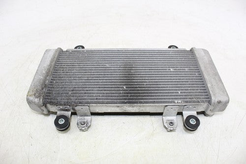 2013 Kawasaki Ninja 300 Ex300b Abs Engine Radiator Motor Cooler Cooling Radiater