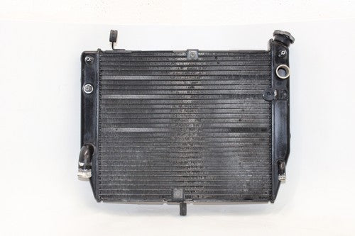 2002-03 Yamaha Yzf R1 Engine Radiator Motor Cooler Cooling OEM