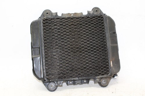 97-07 Kawasaki Ninja 250r Ex250f Engine Radiator Motor Cooler Cooling Radiater