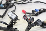 2020 Kawasaki Z650 Er650 Main Engine Wiring Harness Motor Wire Loom