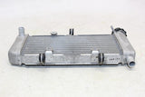 2015 Honda Cb300f Engine Radiator Motor Cooler Cooling Radiater