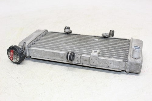 2015 Honda Cb300f Engine Radiator Motor Cooler Cooling Radiater