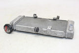 2015 Honda Cb300f Engine Radiator Motor Cooler Cooling Radiater