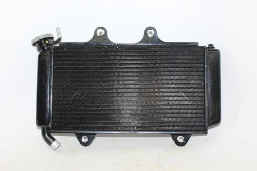 2015 Ktm 390 Rc Engine Radiator Motor Cooler Cooling Radiater