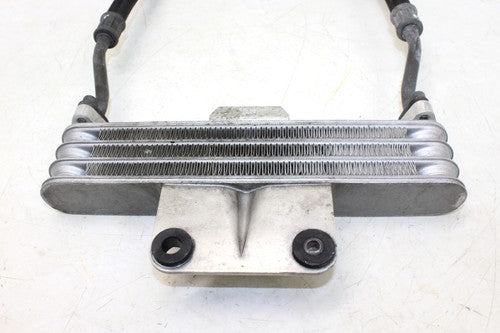 2004 Suzuki Gs500fh Engine Radiator Motor Cooler Cooling Radiater