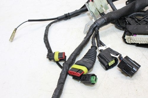 2013 Ducati Monster 796 Main Engine Wiring Harness Motor Wire Loom