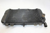 03-04 Kawasaki Zzr600 ZX6E ZX600 Engine Radiator Motor Cooler Radiator OEM