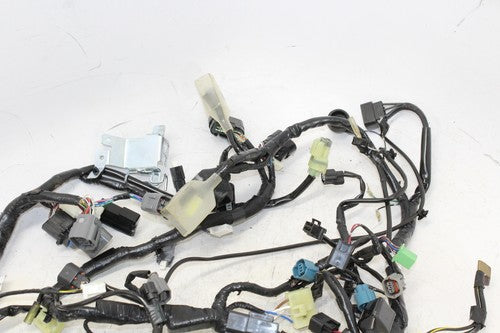 2014 Kawasaki Ninja 300 Ex300a Main Engine Wiring Harness Motor Wire Loom