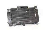 04-09 Yamaha Fz6 Engine Radiator Motor Cooler Cooling Radiater OEM