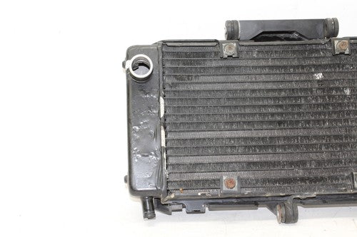 04-09 Yamaha Fz6 Engine Radiator Motor Cooler Cooling Radiater OEM