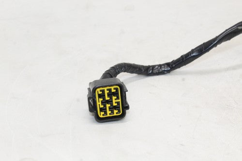 2008-16 Yamaha Yzf R6 Ignition Coil Wiring Harness Wire Loom 2c0-82309-00-00 OEM