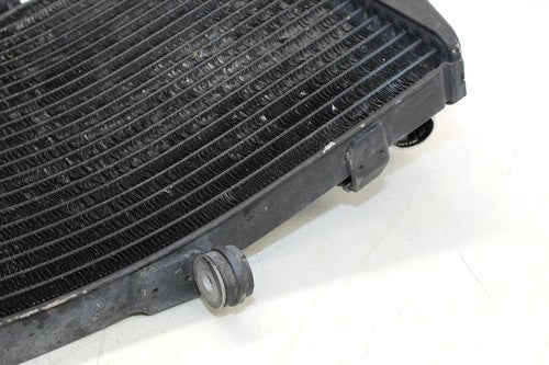 2002 Honda Cbr954rr Engine Radiator Motor Cooler Cooling Radiater