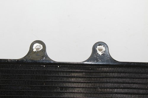 2015 Ktm 390 Rc Engine Radiator Motor Cooler Cooling Radiater