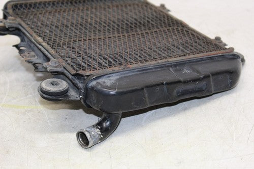 1989 Kawasaki Ninja 250r Ex250f Engine Radiator Motor Cooler Cooling Radiater