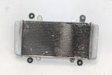 2013-17 Kawasaki Ninja 300 Ex300a Engine Radiator Motor Cooler Cooling OEM