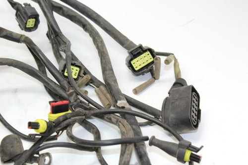 05-06 Ducati Multistrada 620 Main Engine Wiring Harness Motor Wire Loom OEM