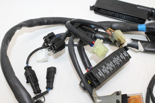 2000 Cagiva Gran Canyon 900 Main Engine Wiring Harness Motor Wire Loom OEM