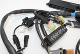 2000 Cagiva Gran Canyon 900 Main Engine Wiring Harness Motor Wire Loom OEM