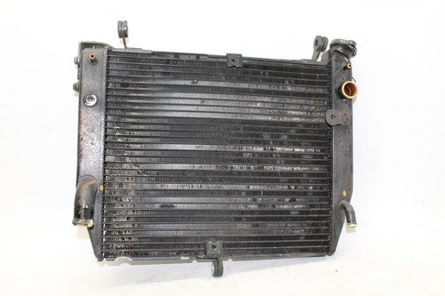 02-03 Yamaha Yzf R1 Engine Radiator Motor Cooler Cooling Radiater OEM