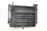 02-03 Yamaha Yzf R1 Engine Radiator Motor Cooler Cooling Radiater OEM