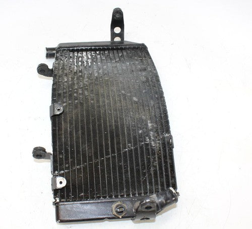 1995 Honda Cbr600f3 Engine Radiator Motor Cooler Cooling Radiater