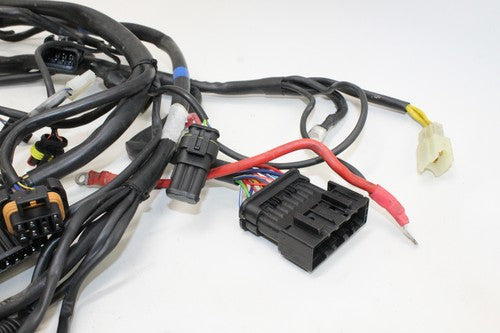 2000 Cagiva Gran Canyon 900 Main Engine Wiring Harness Motor Wire Loom OEM
