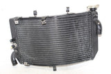 00 2000 Honda Cbr600f4 Engine Radiator Motor Cooler Cooling Radiater