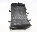 2001 Suzuki Gsxr1000 Engine Radiator Motor Cooler Cooling Radiater