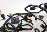 2009 Triumph Tiger Main Engine Wiring Harness Motor Wire Loom 6T2-820098 0012