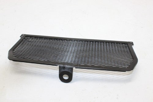 2015-2018 Bmw S1000r Oil Cooler GRILL Guard OEM