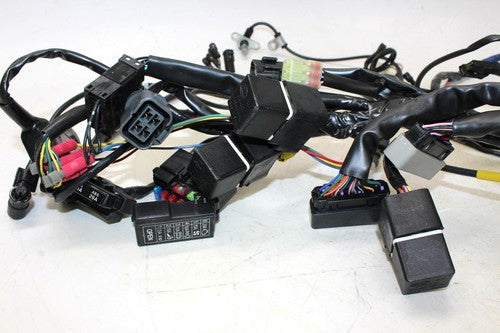 2009 Triumph Tiger Main Engine Wiring Harness Motor Wire Loom 6T2-820098 0012