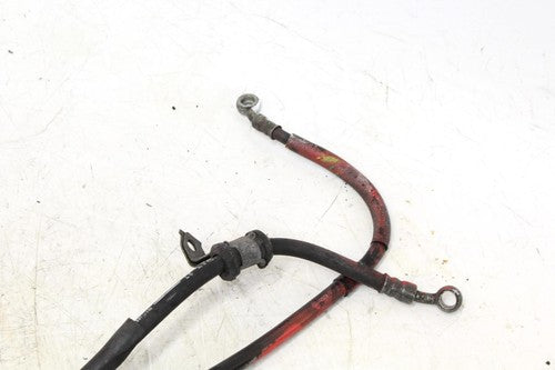 1996 Honda Cbr900rr Set Brake Caliper Hoses Lines