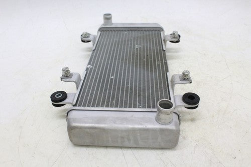 2013 Kawasaki Ninja 300 Ex300a Engine Radiator Motor Cooler Cooling Radiater