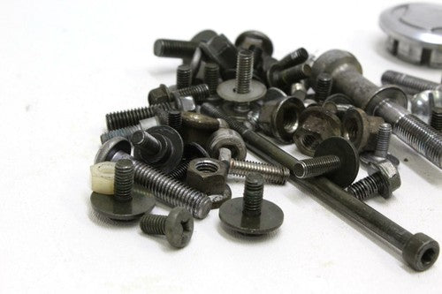 2001-2005 Yamaha Fz1 Engine Mounting BOLTS Hardware Motor Screws OEM