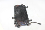 2002 Suzuki Sv650 Engine Radiator Motor Cooler Cooling Radiater