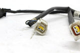 1999-2000 Honda Cbr600f4 Ignition Coil Wiring Harness WIRE Loom OEM