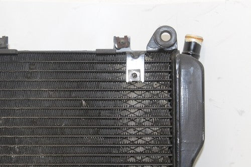 86-06 Kawasaki Concours 1000 Zg1000a Engine Cooler Cooling Radiator Radiater OEM