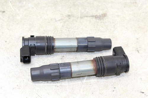 2014 Kawasaki Ninja 300 Ex300a Ignition Coils Coil Spark Plug Caps