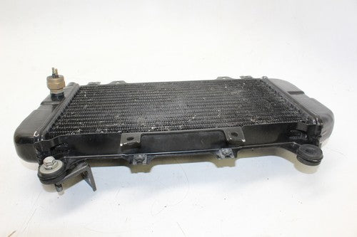 03-04 Kawasaki Zzr600 ZX6E ZX600 Engine Radiator Motor Cooler Radiator OEM