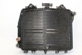 02-05 Kawasaki Zzr1200 Engine Radiator MOTOR Cooler Cooling Radiator OEM