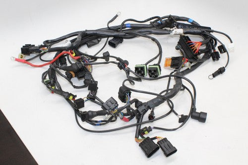 2000 Cagiva Gran Canyon 900 Main Engine Wiring Harness Motor Wire Loom OEM