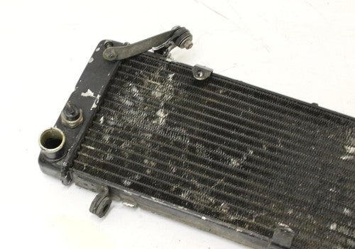 1995 Honda Cbr600f3 Engine Radiator Motor Cooler Cooling Radiater