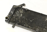 1995 Honda Cbr600f3 Engine Radiator Motor Cooler Cooling Radiater