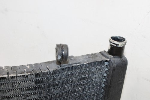 1996 Honda Cbr600f3 Engine Radiator Motor Cooler Cooling Radiater